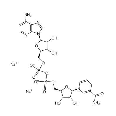 還原型 β-煙酰胺腺嘌呤二核苷酸 二鈉鹽